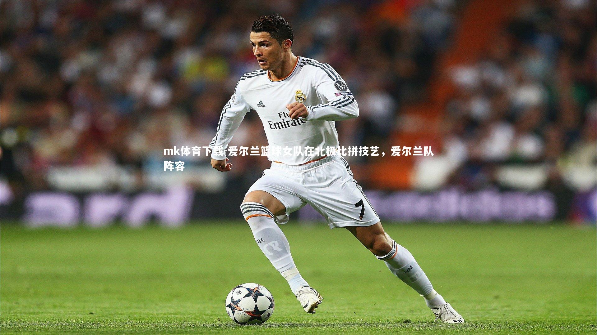 爱尔兰篮球女队在北极比拼技艺,爱尔兰队阵容