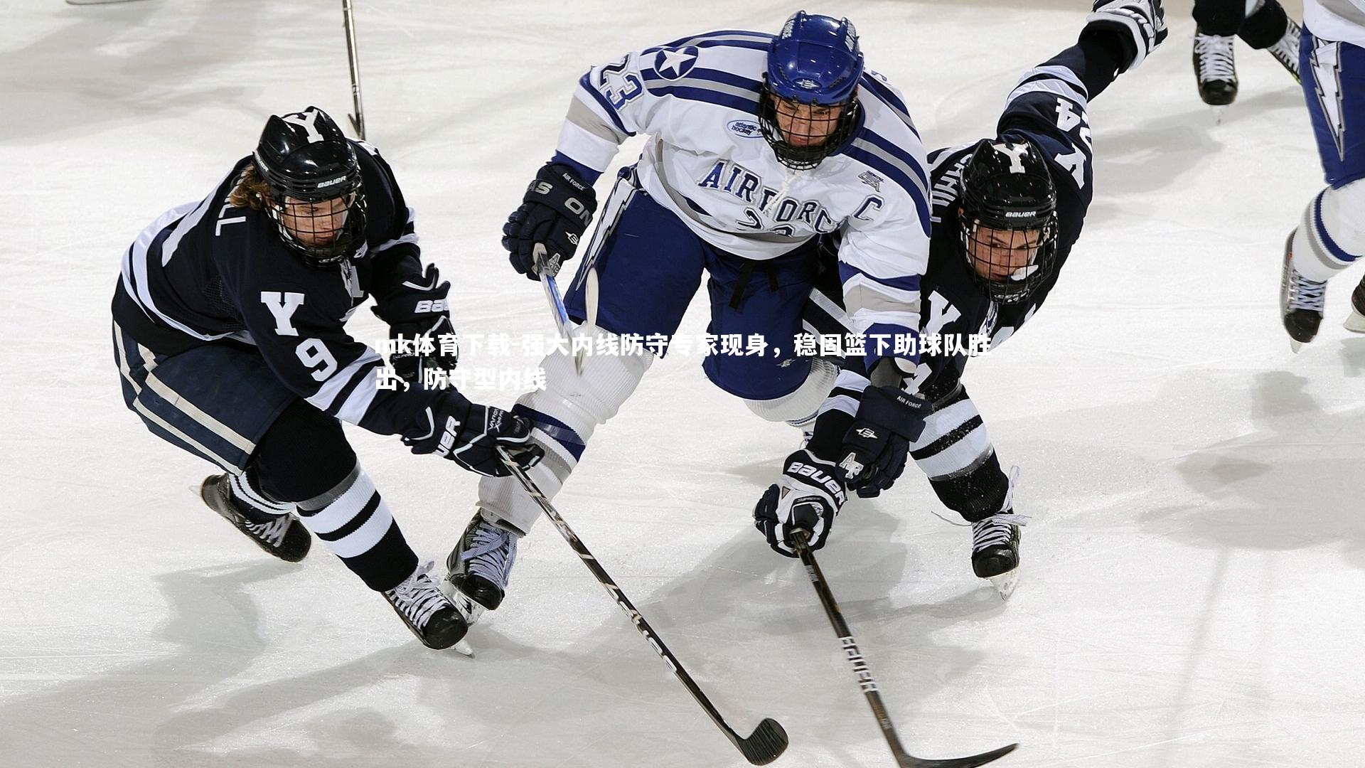 强大内线防守专家现身,稳固篮下助球队胜出,防守型内线