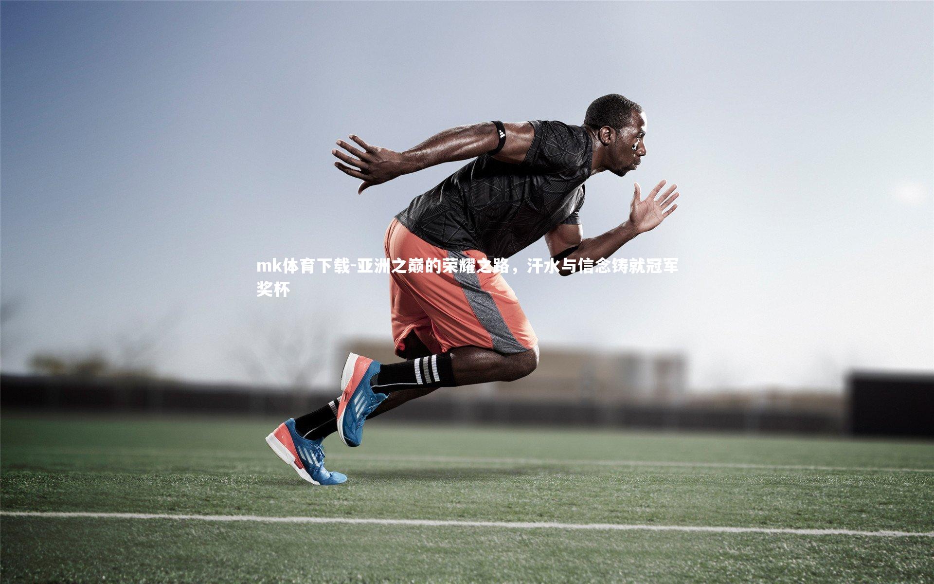 亚洲之巅的荣耀之路,汗水与信念铸就冠军奖杯