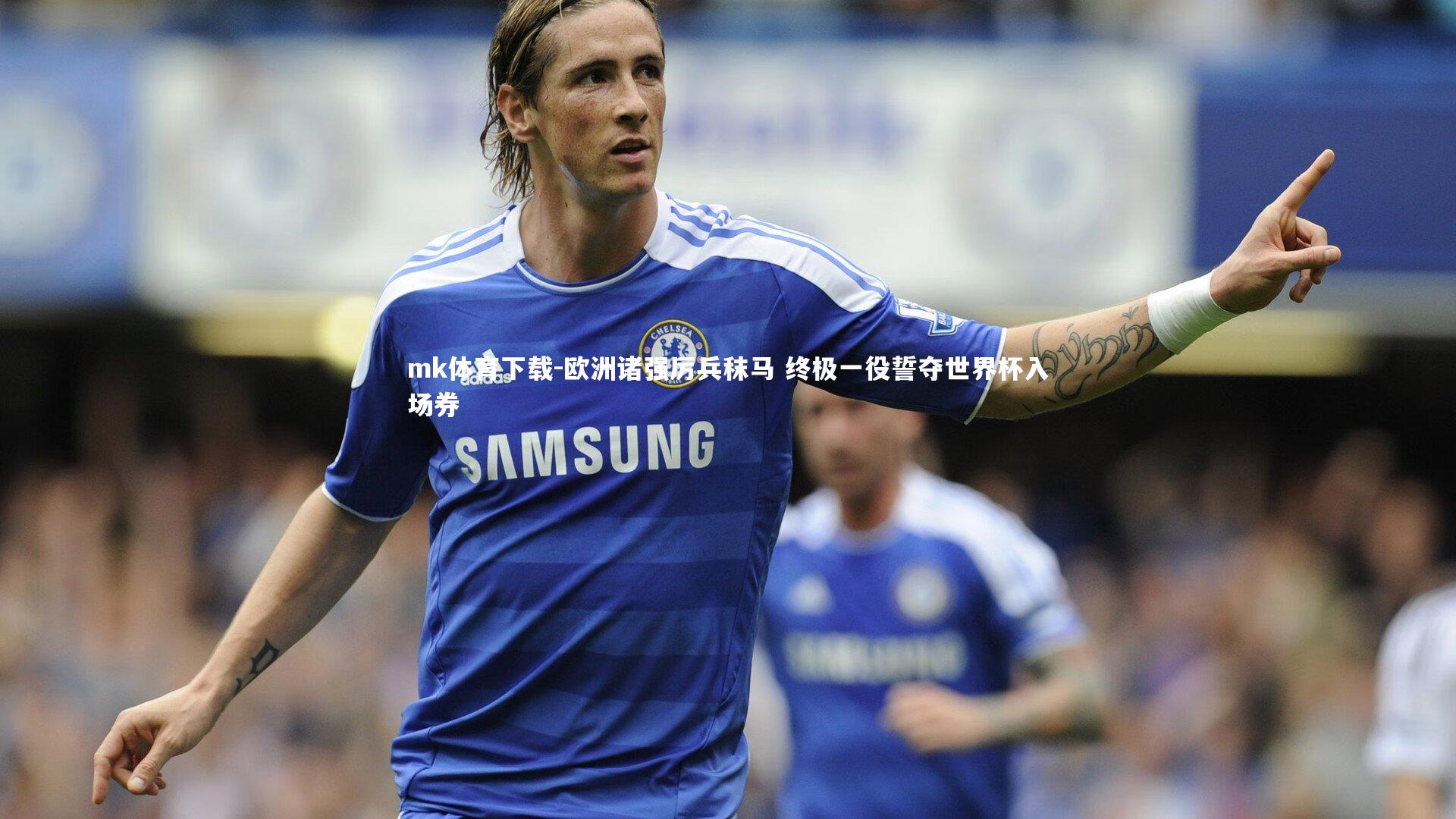 欧洲诸强厉兵秣马 终极一役誓夺世界杯入场券